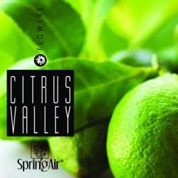 SpringAir Citrus Valley