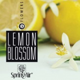 SpringAir Lemon Blossom